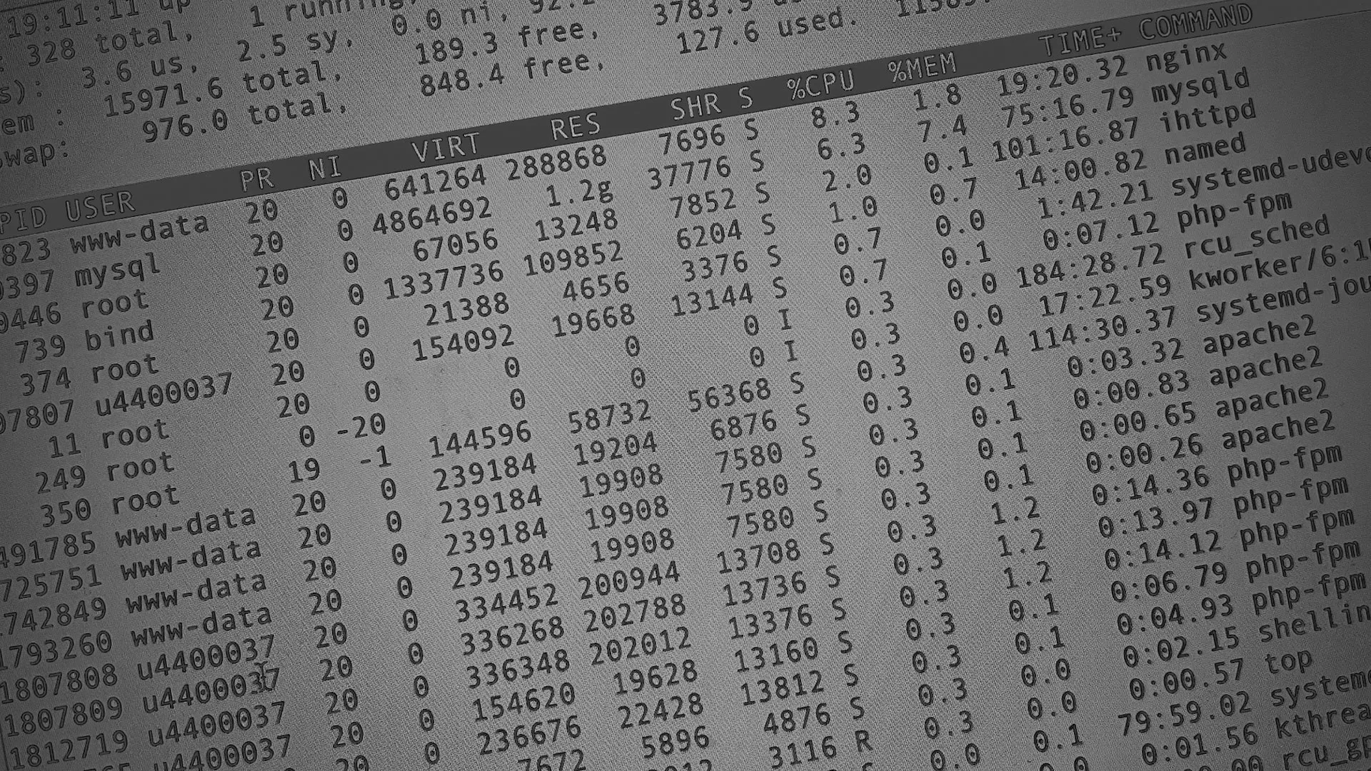 Настройка сервера в Белом